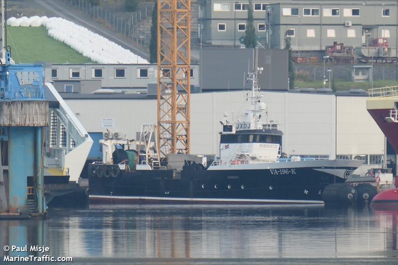 horisont iii (Fish Carrier) - IMO 8612770, MMSI 257349500, Call Sign JXDJ under the flag of Norway