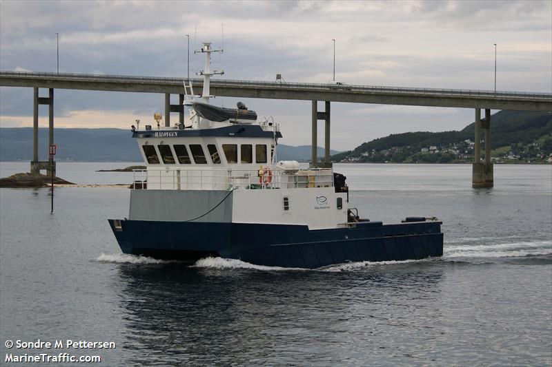 haloeygen (Tug) - IMO , MMSI 258384500, Call Sign LG5027 under the flag of Norway