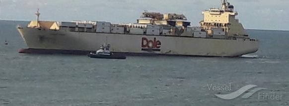 dole chile (Container Ship) - IMO 9185281, MMSI 309942000, Call Sign C6QX4 under the flag of Bahamas