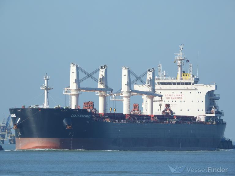 cp chongqing (Bulk Carrier) - IMO 9710517, MMSI 538006814, Call Sign V7IL3 under the flag of Marshall Islands