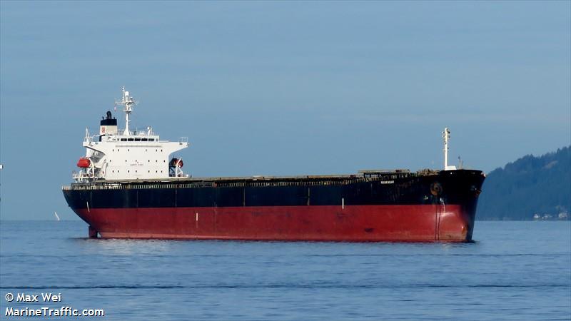 aquaknight (Bulk Carrier) - IMO 9336593, MMSI 636018019, Call Sign D5NU7 under the flag of Liberia