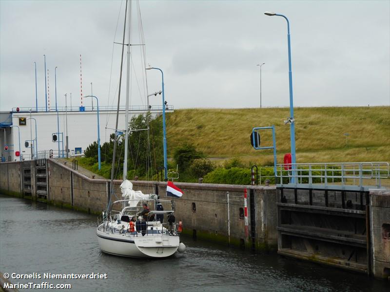 blue whale (Sailing vessel) - IMO , MMSI 244650075, Call Sign PB4768 under the flag of Netherlands