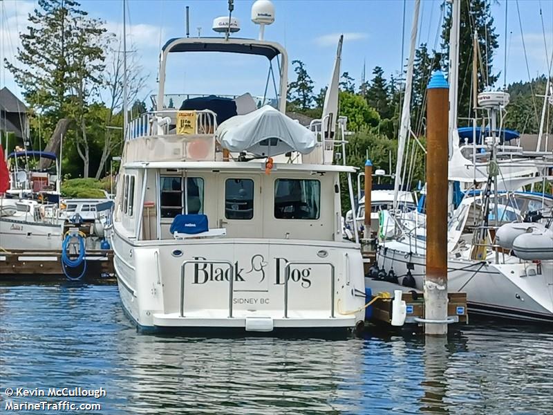 black dog (Pleasure craft) - IMO , MMSI 316037785 under the flag of Canada