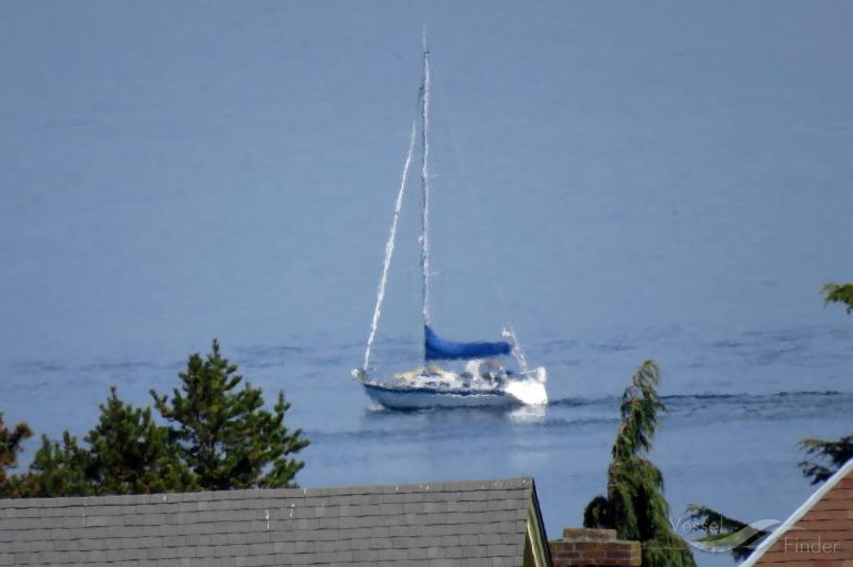 sv sea monkey (Sailing vessel) - IMO , MMSI 338020675 under the flag of USA