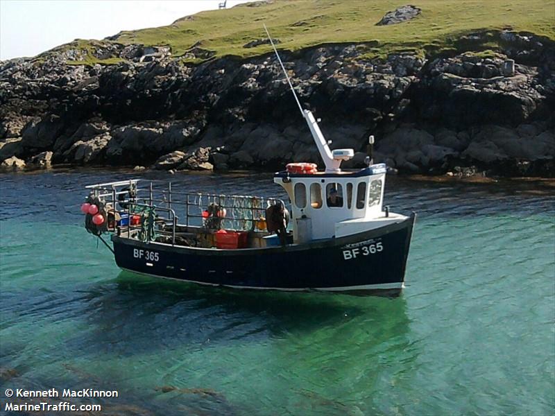 kestrel bf365 (Fishing vessel) - IMO , MMSI 235108035 under the flag of United Kingdom (UK)
