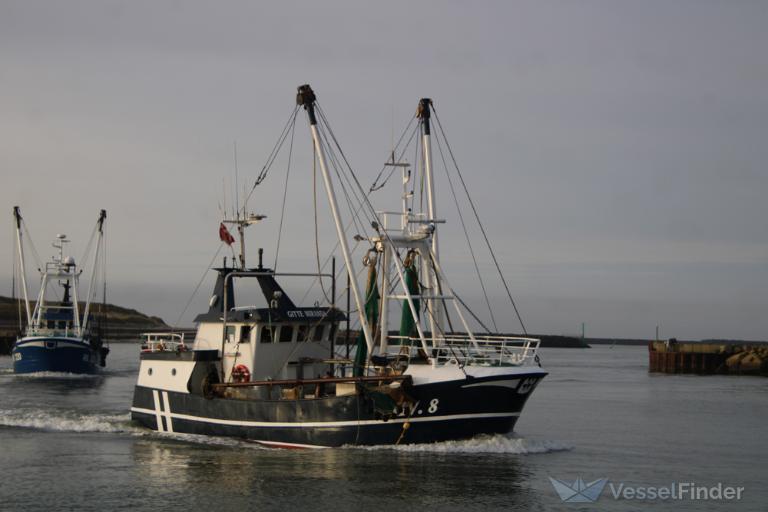 hv8 gitte miranda (Fishing vessel) - IMO , MMSI 219001265, Call Sign OZWK under the flag of Denmark