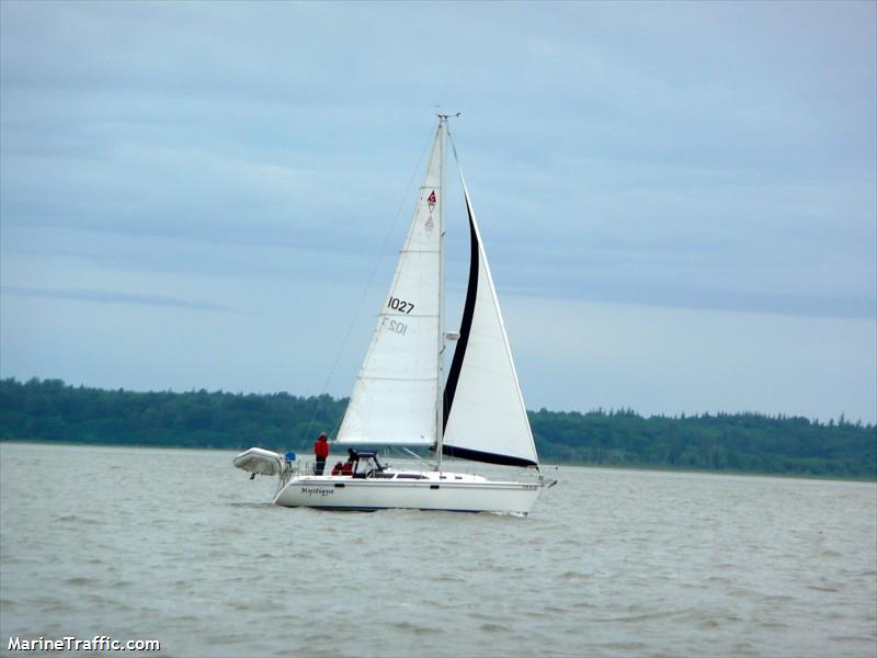 mystique (Sailing vessel) - IMO , MMSI 367471480 under the flag of United States (USA)