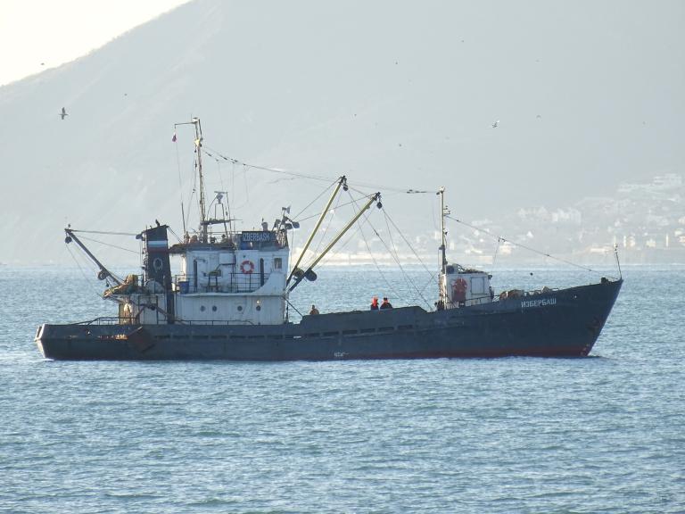 izberbash (Fish Carrier) - IMO 8724195, MMSI 273434790 under the flag of Russia