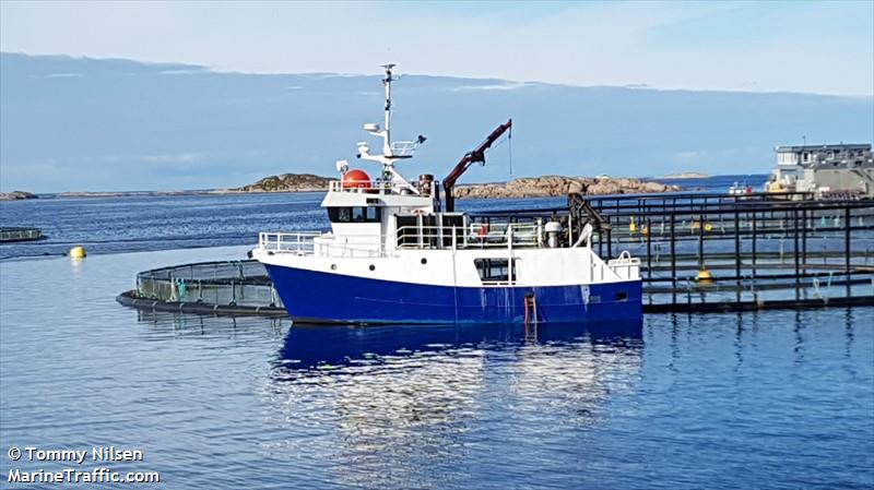 hellsegga (Fishing vessel) - IMO , MMSI 257041440, Call Sign LK6160 under the flag of Norway