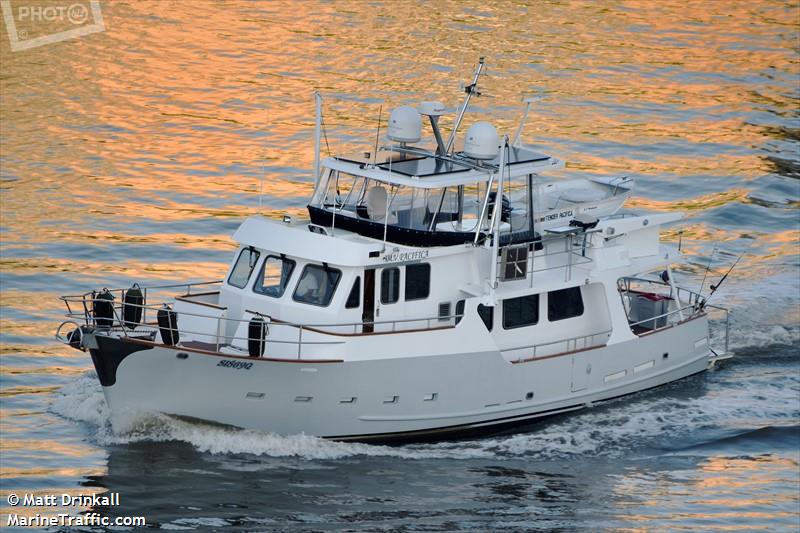 mv pacifica (Pleasure craft) - IMO , MMSI 503319400, Call Sign VMQ9567 under the flag of Australia