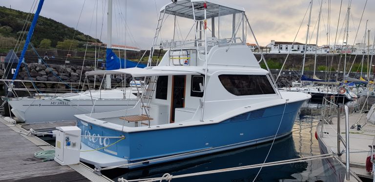 torero (Pleasure craft) - IMO , MMSI 205792830, Call Sign OP7928 under the flag of Belgium