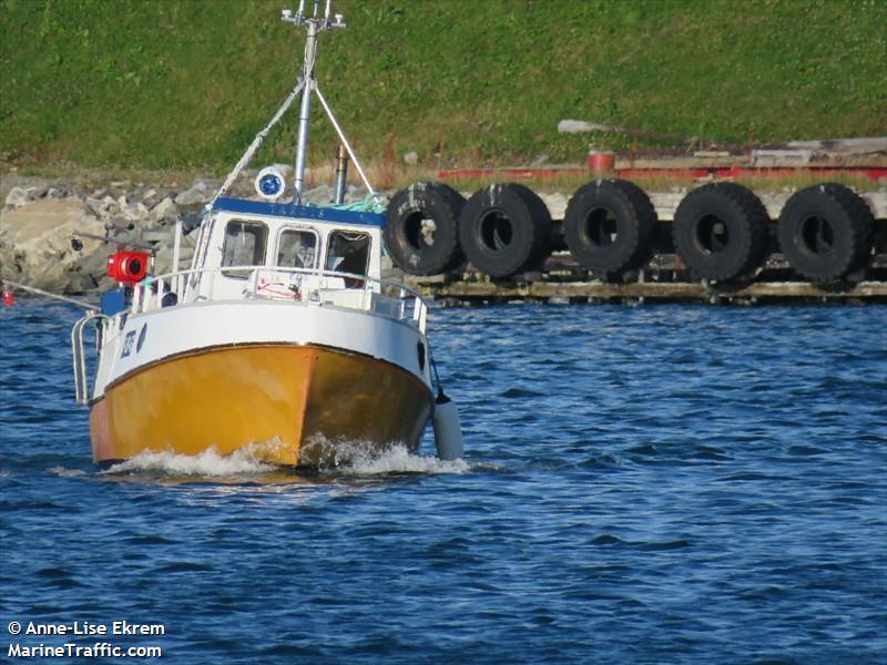 tardis (Fishing vessel) - IMO , MMSI 257414120, Call Sign LM8300 under the flag of Norway
