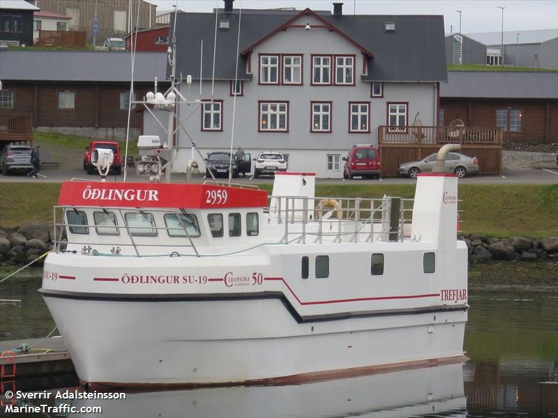 oedlingur su19 (Fishing vessel) - IMO , MMSI 251853770, Call Sign 2959 under the flag of Iceland
