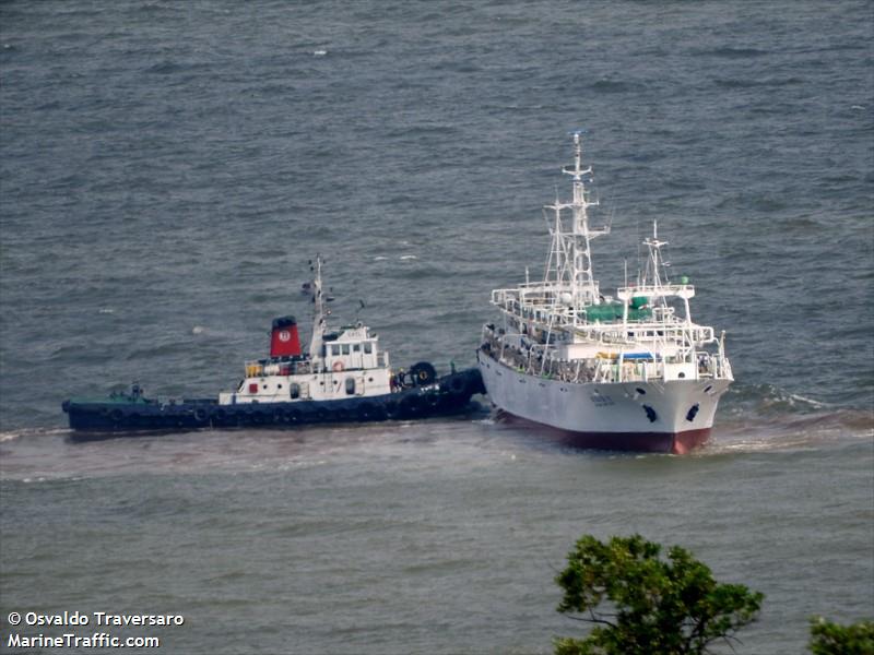 808 tongyoung (Fishing Vessel) - IMO 8614352, MMSI 440652000, Call Sign DTBS9 under the flag of Korea