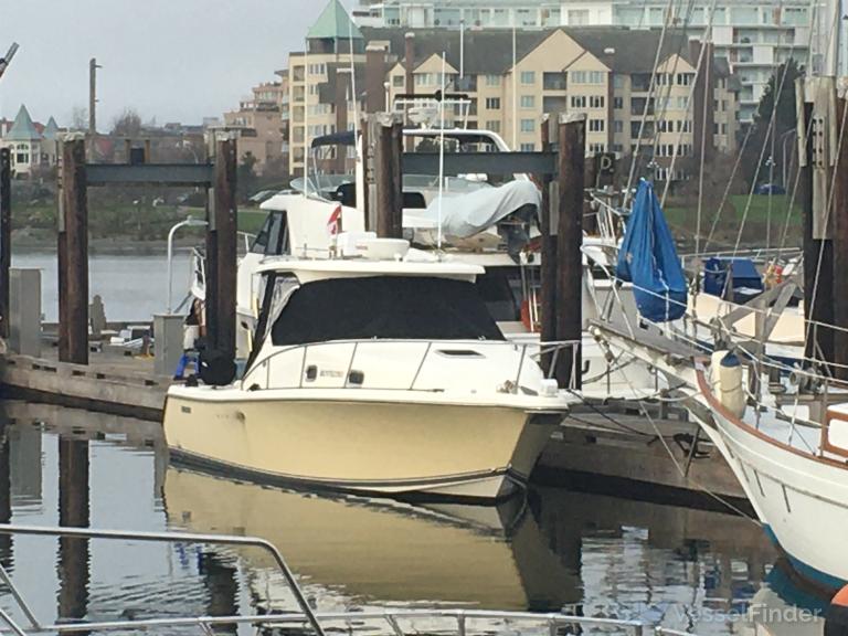 gryphon (Pleasure craft) - IMO , MMSI 316044012 under the flag of Canada