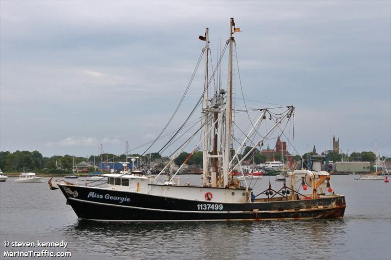miss georgie (Fishing vessel) - IMO , MMSI 367118330, Call Sign WDD2667 under the flag of United States (USA)