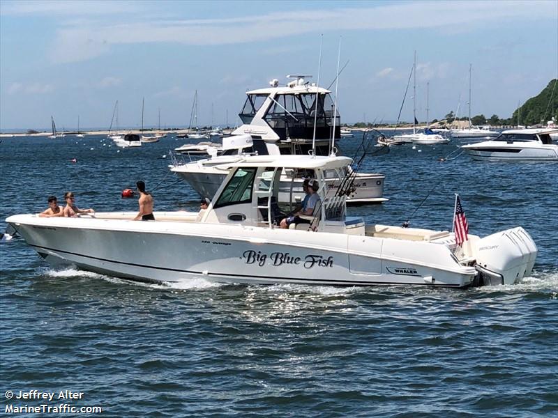 big blue fish (-) - IMO , MMSI 338334823 under the flag of USA