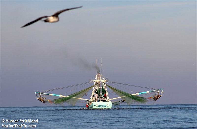miss kayden (Fishing vessel) - IMO , MMSI 367669840, Call Sign WDH9615 under the flag of United States (USA)