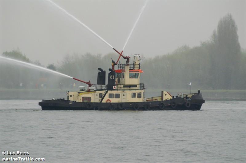 tug 81 (Tug) - IMO , MMSI 205254190, Call Sign OT2541 under the flag of Belgium