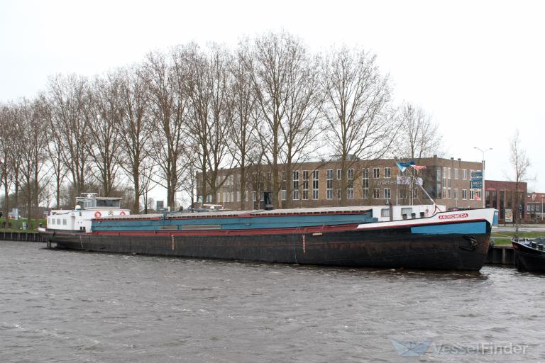 andromeda (WIG) - IMO , MMSI 244660445, Call Sign PG9947 under the flag of Netherlands