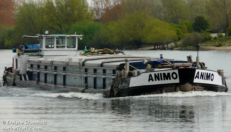 animo (Cargo ship) - IMO , MMSI 244690773, Call Sign PD9746 under the flag of Netherlands