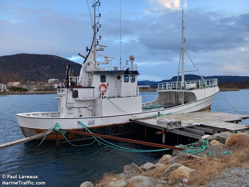 fangtind (Fishing vessel) - IMO , MMSI 257678500, Call Sign LLMN under the flag of Norway