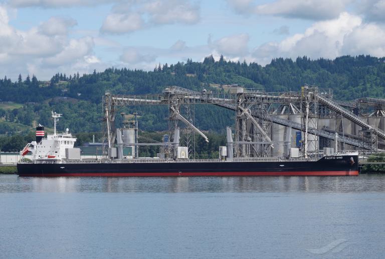 pacific wind (Bulk Carrier) - IMO 9883508, MMSI 356398000, Call Sign 3FMI8 under the flag of Panama