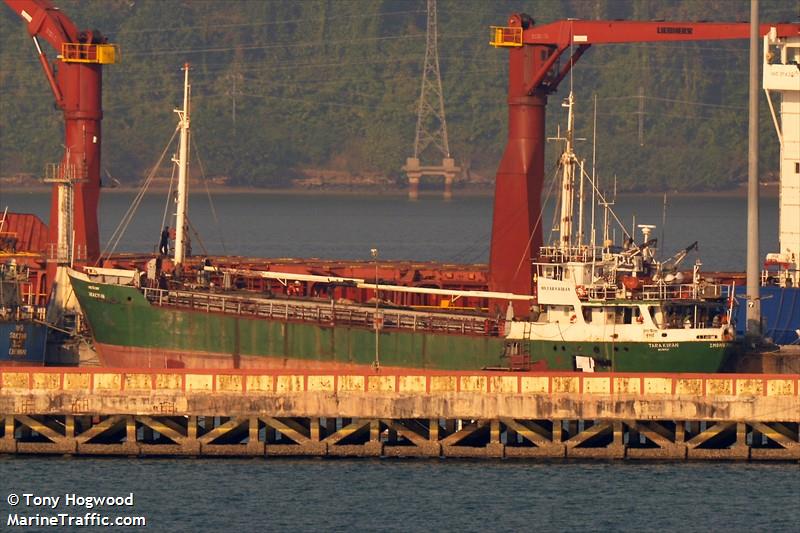 tara elizabeth (Towing vessel) - IMO , MMSI 367033420, Call Sign WCY4895 under the flag of United States (USA)