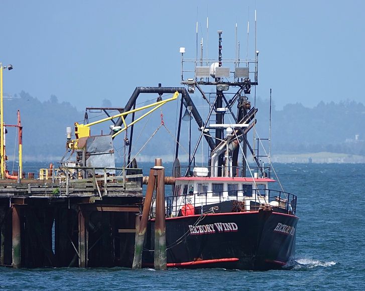 hickory wind (Fishing Vessel) - IMO 7828877, MMSI 367504570, Call Sign WDF9382 under the flag of United States (USA)