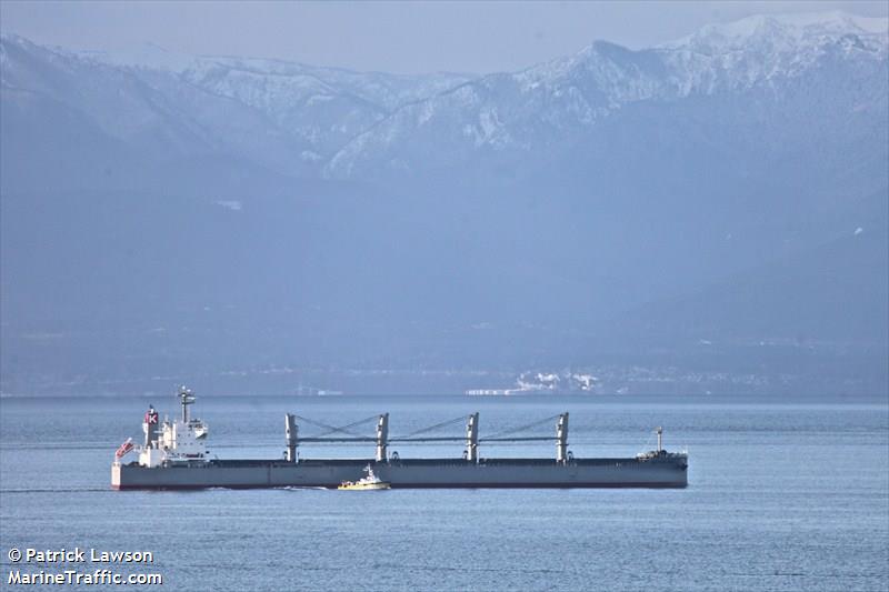 britain bay (Bulk Carrier) - IMO 9615729, MMSI 373511000, Call Sign HODO under the flag of Panama