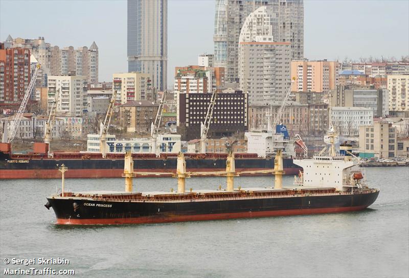ocean princess (Bulk Carrier) - IMO 9245196, MMSI 477288000, Call Sign VRXR8 under the flag of Hong Kong