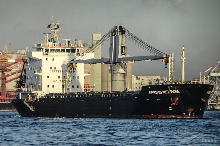 spring nelson (General Cargo Ship) - IMO 9619567, MMSI 477950800, Call Sign VRIT3 under the flag of Hong Kong