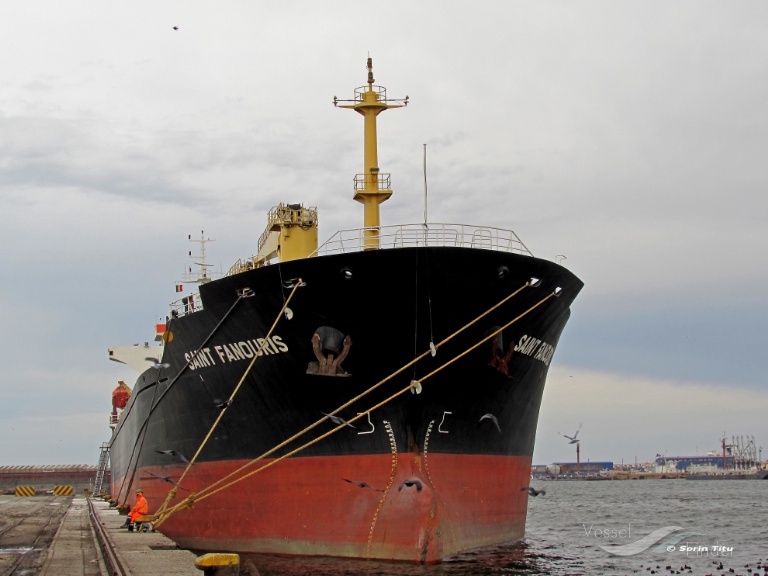 viet thuan 215-06 (Bulk Carrier) - IMO 9440318, MMSI 574004600, Call Sign XVFS7 under the flag of Vietnam