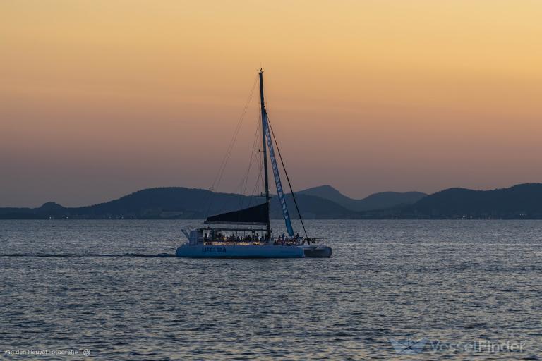 palma bay catamaran (Passenger ship) - IMO , MMSI 225988941 under the flag of Spain