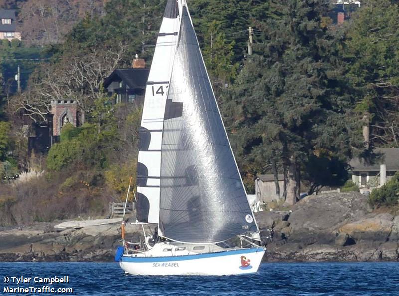 sea weasel (Sailing vessel) - IMO , MMSI 316021575 under the flag of Canada