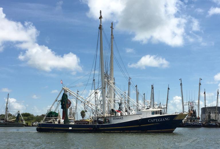 gapt giang (Fishing Vessel) - IMO , MMSI 367642110, Call Sign WDH6837 under the flag of United States (USA)