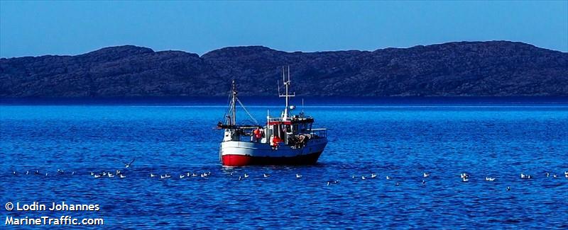sjoflu (Fishing vessel) - IMO , MMSI 257910500, Call Sign LK2053 under the flag of Norway