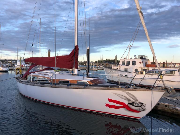open country (Sailing vessel) - IMO , MMSI 512005873, Call Sign ZMG3362 under the flag of New Zealand