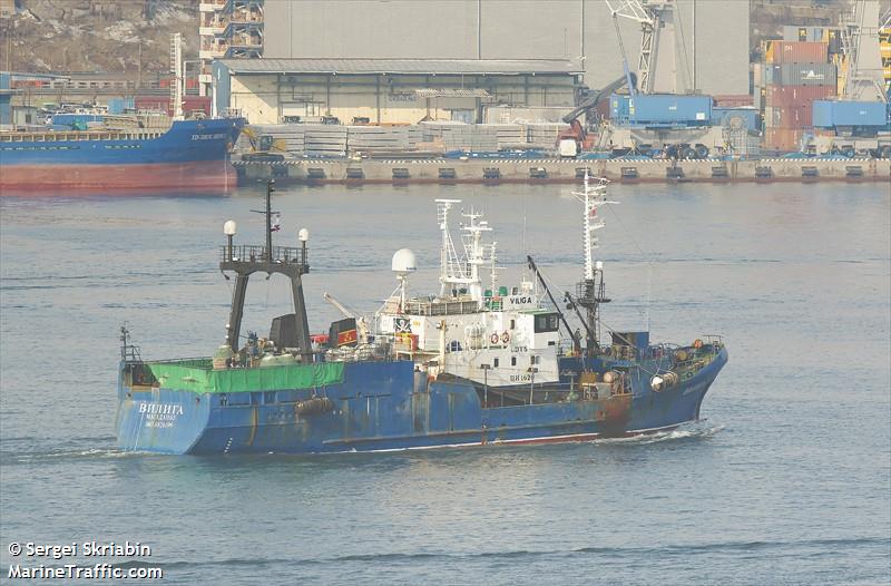 viliga (Fishing Vessel) - IMO 8826199, MMSI 273436430, Call Sign UDYS under the flag of Russia