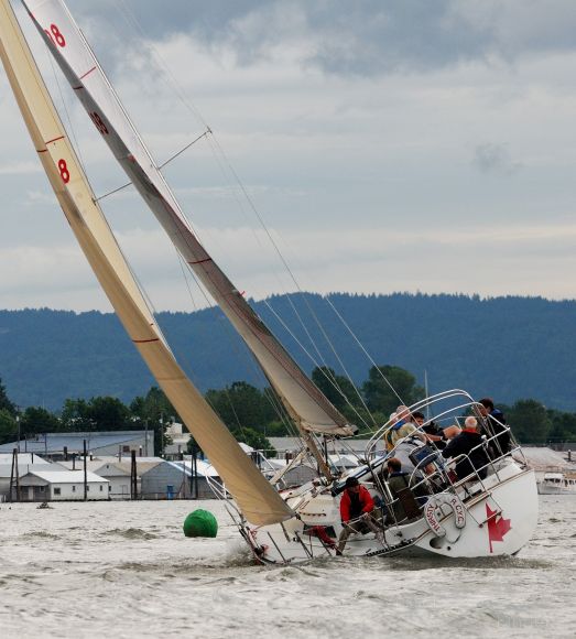 sv thirsty (Sailing vessel) - IMO , MMSI 366803190, Call Sign WDA3870 under the flag of United States (USA)