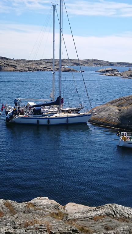 emilia (Sailing vessel) - IMO , MMSI 265803030, Call Sign SF5242 under the flag of Sweden