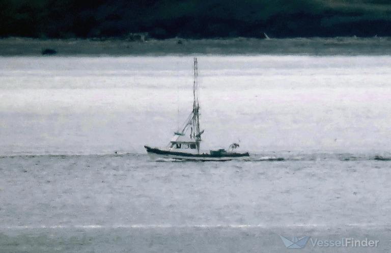 north star (Fishing vessel) - IMO , MMSI 367163130, Call Sign WY9141 under the flag of United States (USA)