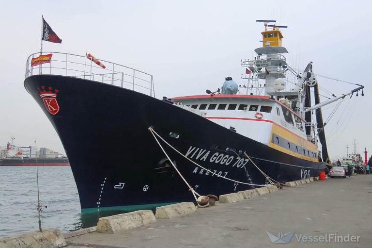 viva gogo 707 (Fishing vessel) - IMO , MMSI 576574000, Call Sign YJRJ6 under the flag of Vanuatu