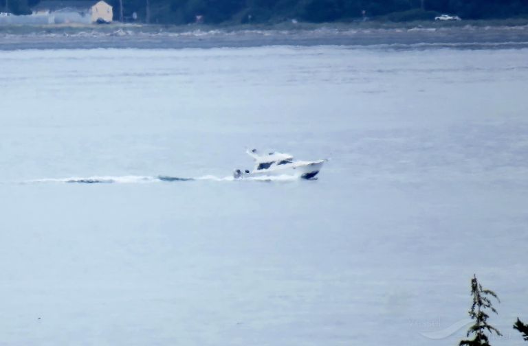 brooklin sea (Pleasure craft) - IMO , MMSI 338102694 under the flag of USA
