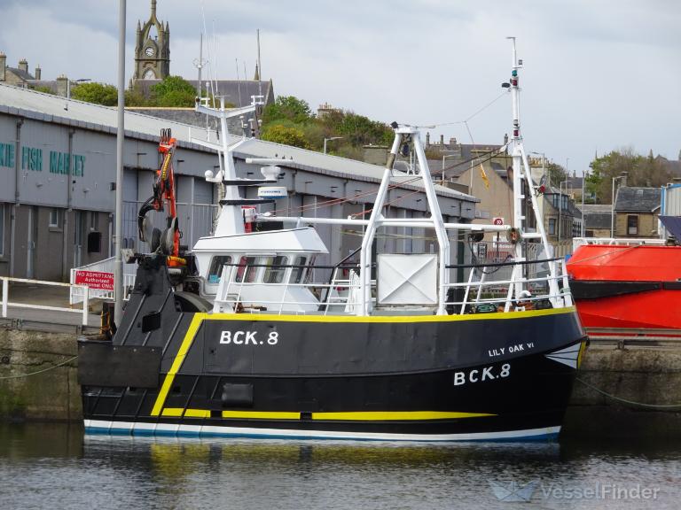 lily oak vi (Fishing vessel) - IMO , MMSI 235035472, Call Sign MZ0V8 under the flag of United Kingdom (UK)
