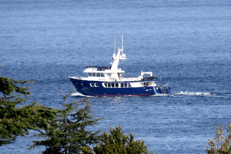 fv provider ii (Fishing vessel) - IMO , MMSI 338386000, Call Sign WCY8496 under the flag of USA