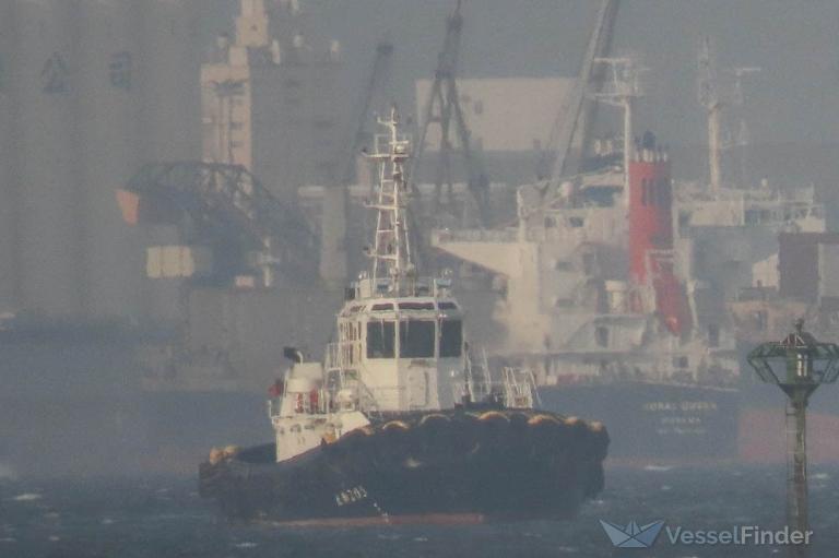 tai chin 205 (Tug) - IMO , MMSI 416003096, Call Sign BR3300 under the flag of Taiwan