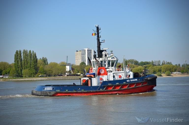 sd shark (Tug) - IMO 9410715, MMSI 205002000, Call Sign ORTE under the flag of Belgium