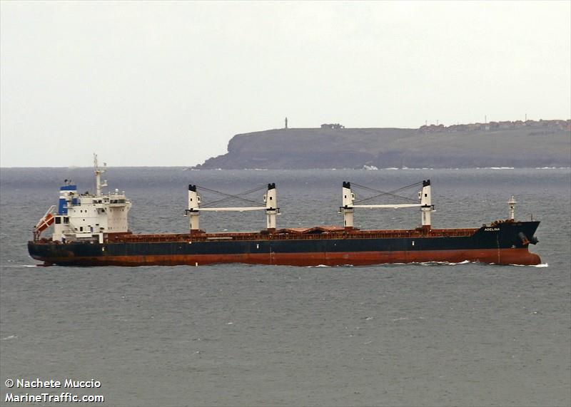 adelina (Bulk Carrier) - IMO 9595785, MMSI 215521000, Call Sign 9HA2750 under the flag of Malta