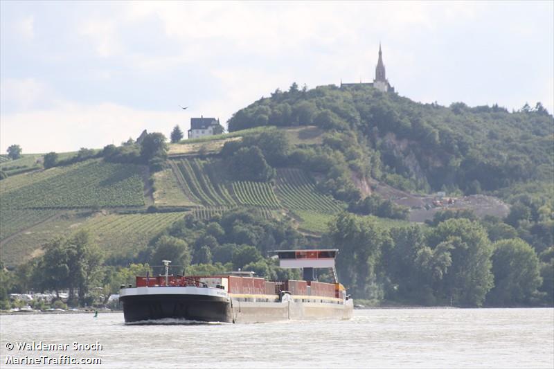 alsace (Cargo ship) - IMO , MMSI 244660556, Call Sign PB4786 under the flag of Netherlands